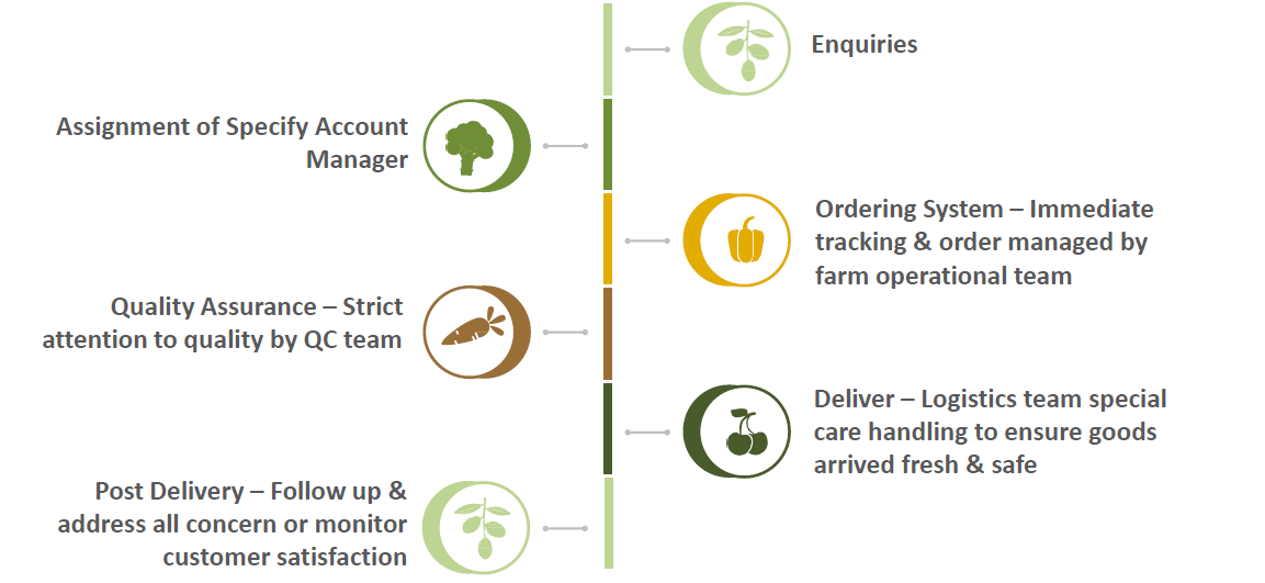 How We Work