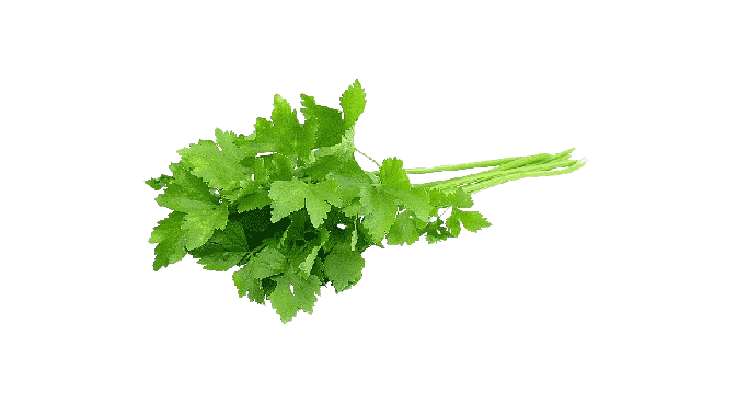 gratis-png-cilantro-hierba-chili-con-carne-mexicana-cocina-perejil-pimenton-planta-removebg-preview