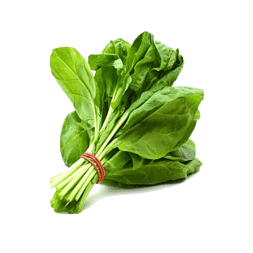 gratis-png-hoja-de-espinaca-verdura-pakora-acelga-verdura-thumbnail-removebg-preview