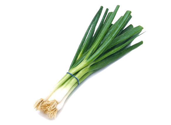 kisspng-allium-fistulosum-scallion-vegetable-chives-shallo-5aea7bcc938d56.9074691315253165566044-removebg-preview