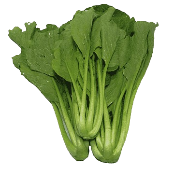 png-transparent-romaine-lettuce-choy-sum-chinese-broccoli-spring-greens-komatsuna-vegetable-leaf-vegetable-food-napa-cabbage-thumbnail-removebg-preview